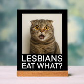 Lesbians Eat What Funny アクリルサイン (ニュートラル)