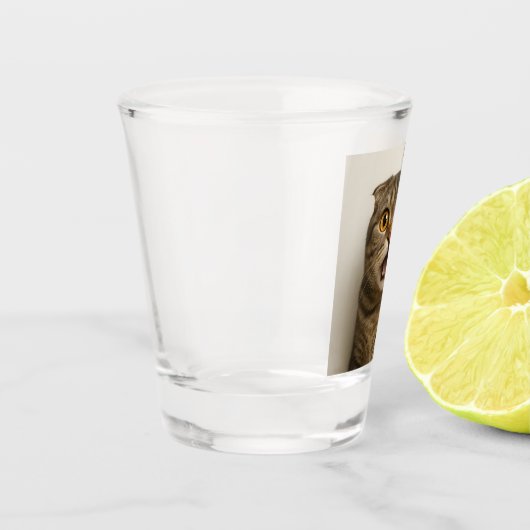 Lesbians Eat What Funny ショットグラス (左)