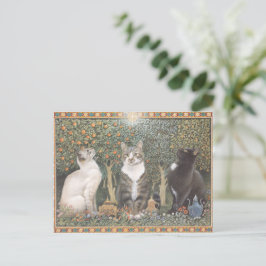 LESLEY ANNE IVORYS CHRISTMAS CAT POSTCARD ポストカード