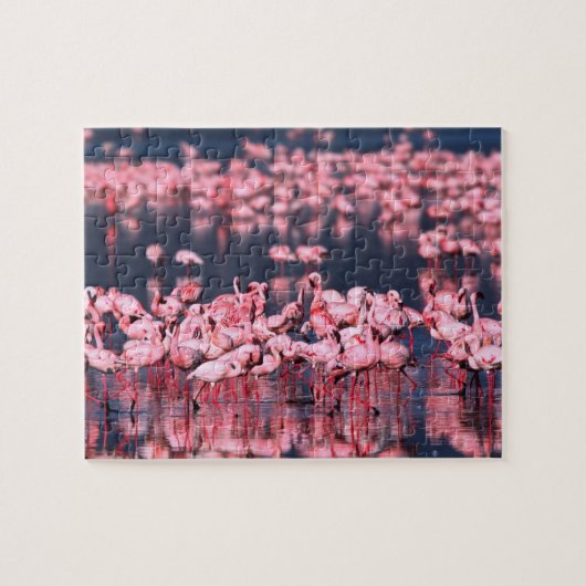 Lesser Flamingos (Phoeniconaias minor)，アフリカ， ジグソーパズル (横)