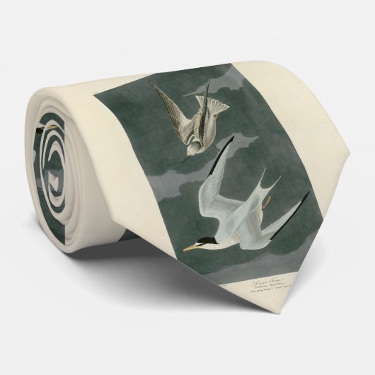 Lesser (Least) Tern - Audubon's Birds of America ネクタイ (ロール)