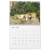Let Go Wild - Wild Animal Calendar (Edition 1)(野生動 カレンダー (3月 2027)
