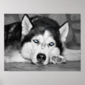 Let Me Sleep Please ポスター (正面)