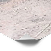 Let Sleepy Lions Lie ポスター (コーナー)