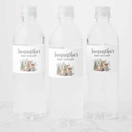Let the Adventure Begin Baby Shower ペットボトルラベル (ボトル)