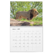 Let's Go Wild II - Wild Animal Calendar Edition 2 カレンダー (3月 2027)