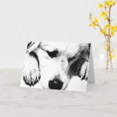 Let's have a brownie card カード (黄色い花)