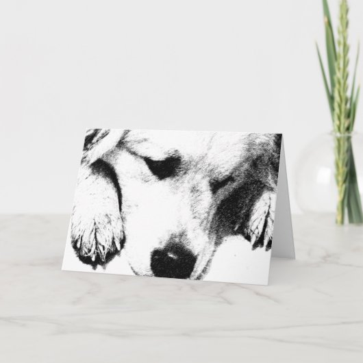 Let's have a brownie card カード (正面)