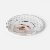 Let's Music ペーパープレート (アングル)