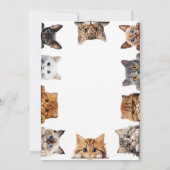 Let's Pawty Cat Kitten Birthday Party Invitation 招待状 (裏面)