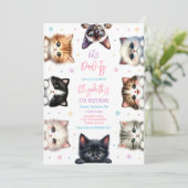 Let's Pawty Kitten Cat Birthday Invitation 招待状 (スタンド正面)