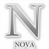 Letter N 2トーンシルバーグレーと名前ステッカー シール (正面)