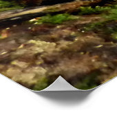 Leucopaxillus giganteusキノコのポスター ポスター (角)