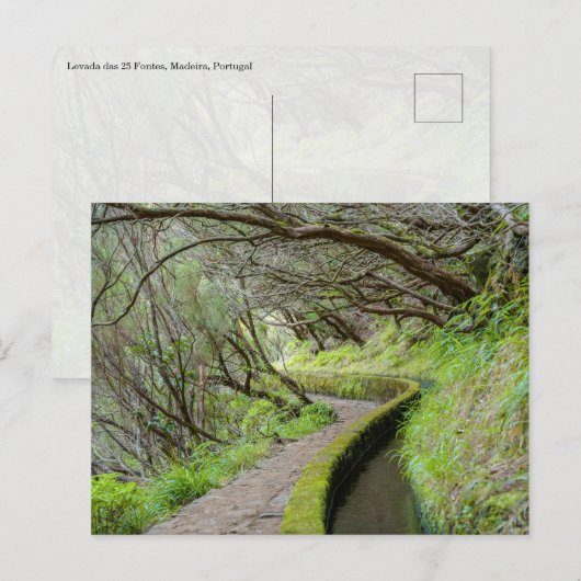 Levada das 25 Fontes Madeira Postcard ポストカード (正面/裏面)