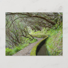 Levada das 25 Fontes Madeira Postcard ポストカード