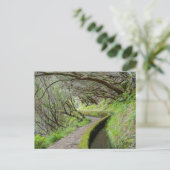 Levada das 25 Fontes Madeira Postcard ポストカード (スタンド正面)