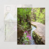 Levada das 25 Fontes Madeira Postcard ポストカード (正面/裏面)