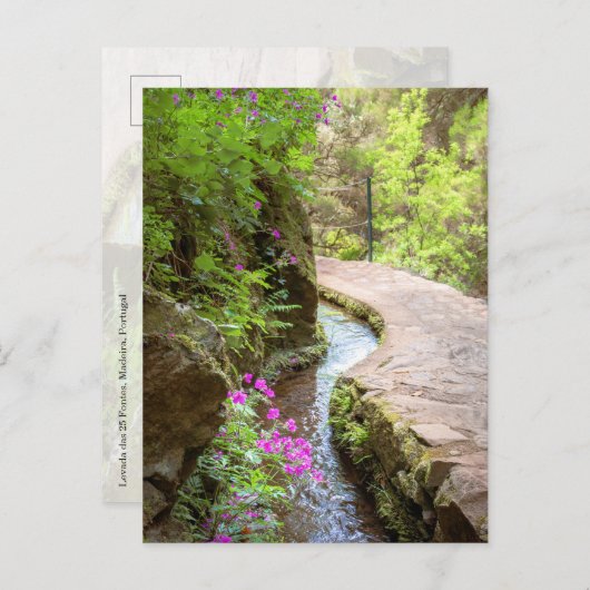 Levada das 25 Fontes Madeira Postcard ポストカード (正面/裏面)