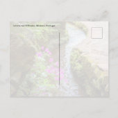 Levada das 25 Fontes Madeira Postcard ポストカード (裏面)