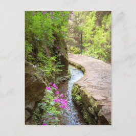 Levada das 25 Fontes Madeira Postcard ポストカード