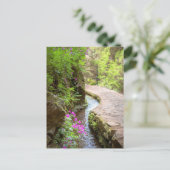 Levada das 25 Fontes Madeira Postcard ポストカード (スタンド正面)