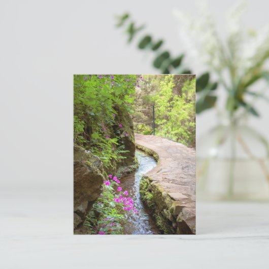 Levada das 25 Fontes Madeira Postcard ポストカード (スタンド正面)
