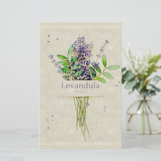 Levandula spica l. notepad (スタンド正面)