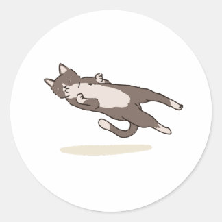 Levitating Cat sticker ラウンドシール