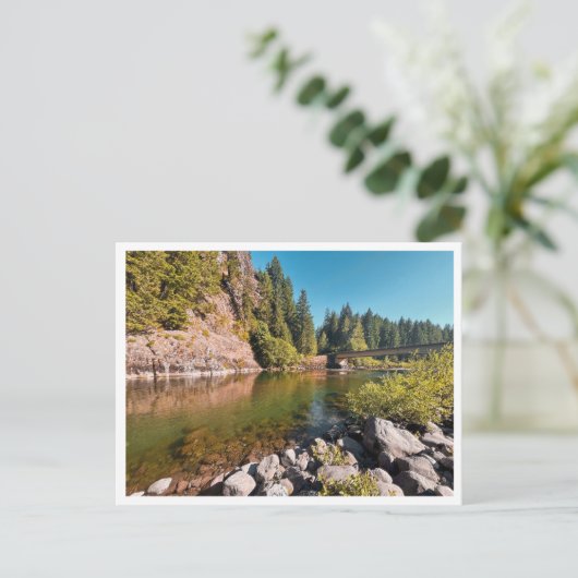 Lewis River ポストカード (スタンド正面)