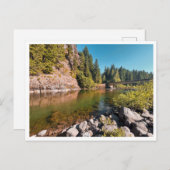 Lewis River  ポストカード (正面/裏面)