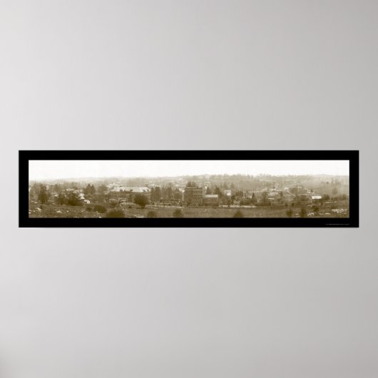 Lewisburg WV Birdseye写真1913 ポスター (正面)