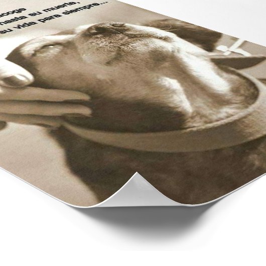 Leyenda sobre adeptar animales ポスター (角)