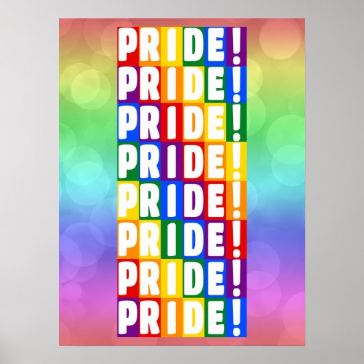 LGBTレインボーカラープライド ポスター (正面)