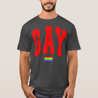 Lgbtqプライドグラフィックレインボー旗人権ホーム Tシャツ