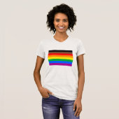 LGBTQプライド国旗ストライプ(8) Tシャツ (正面フル)