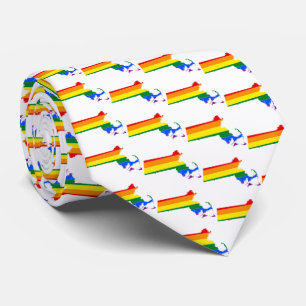 LGBTQマサチューセッツプライドネクタイ ネクタイ