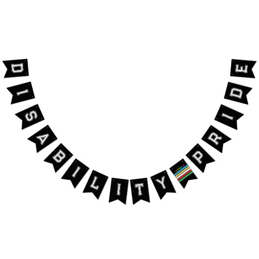 LGBTQ障害プライドレインボー バンティングフラッグ (全)