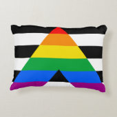 LGBTQ+ アライフラグ アクセントクッション (裏面)