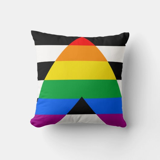LGBTQ+ アライフラグ クッション (正面)