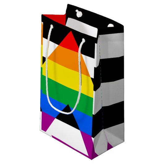 LGBTQ+ アライフラグ スモールペーパーバッグ (正面アングル)