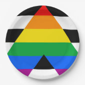 LGBTQ+ アライフラグ ペーパープレート (正面)