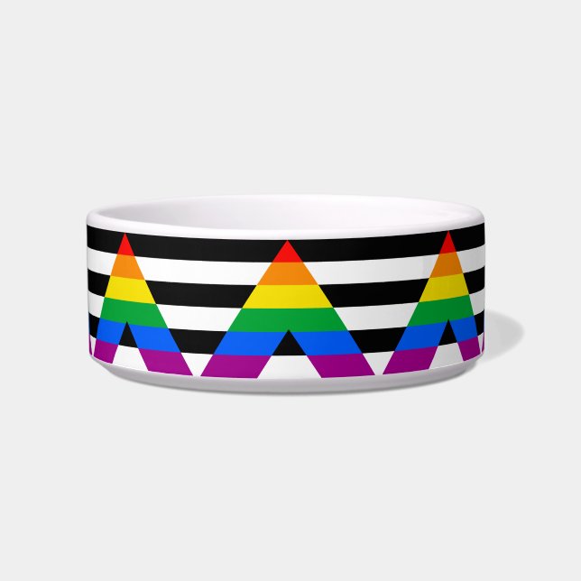 LGBTQ+ アライフラグ ボウル (正面)
