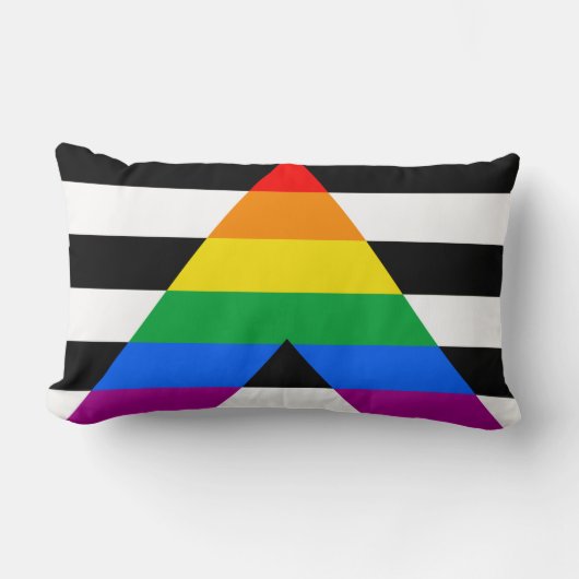LGBTQ+ アライフラグ ランバークッション (正面)
