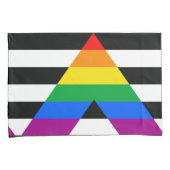 LGBTQ+ アライフラグ 枕カバー (正面右)
