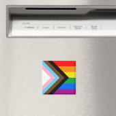 LGBTQ+ プログレス プライド マグネット (インサイチュ (食洗機))