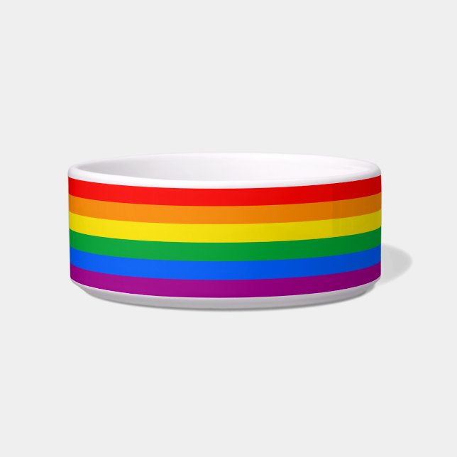 LGBTQ+ レインボープライドフラグ ボウル (正面)
