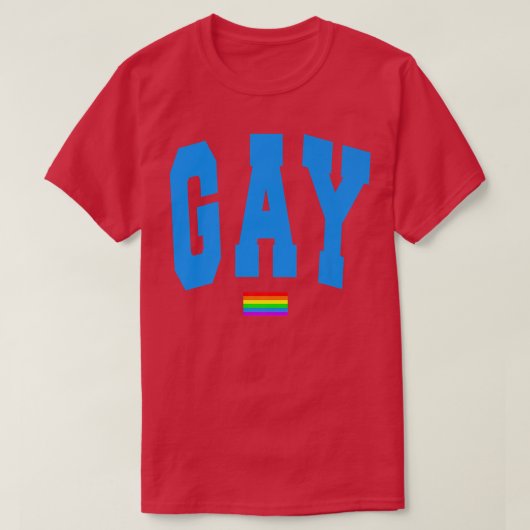 Lgbtq Pride Graphic Rainbow Flag Human Rights Wome Tシャツ (デザイン正面)