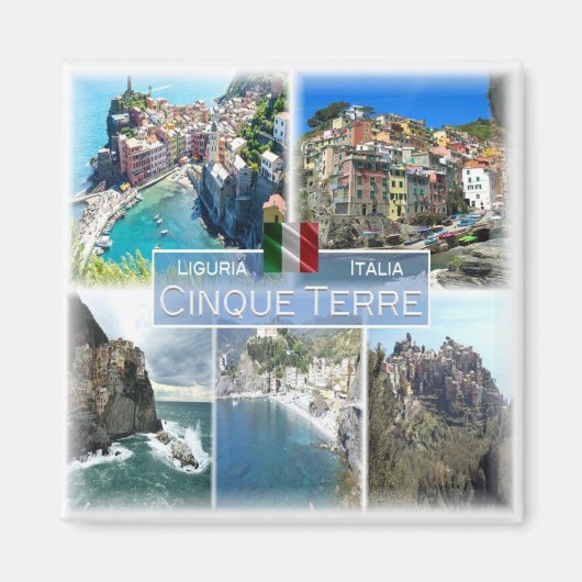 LGR040 CINQUE TERRE，モザイク，イタリア，冷蔵庫 マグネット (正面)