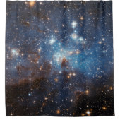 LH 95星形成領域NASA シャワーカーテン (正面)