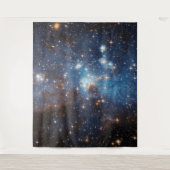 LH 95星形成領域NASA タペストリー (正面)